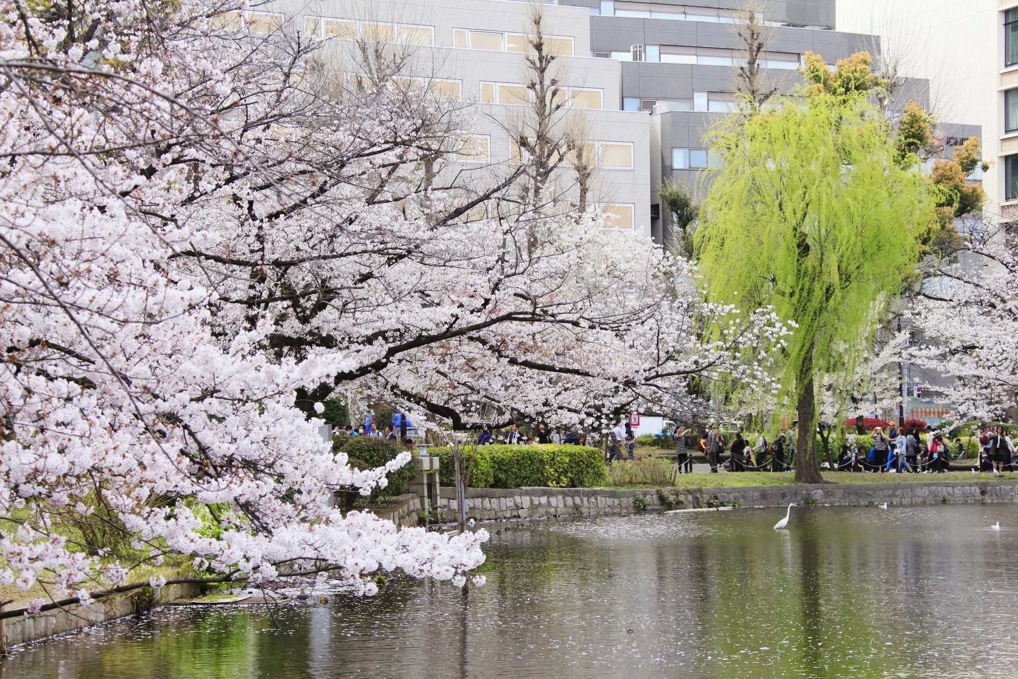 Centurion Hotel&Spa Ueno Station Tokyo Eksteriør bilde